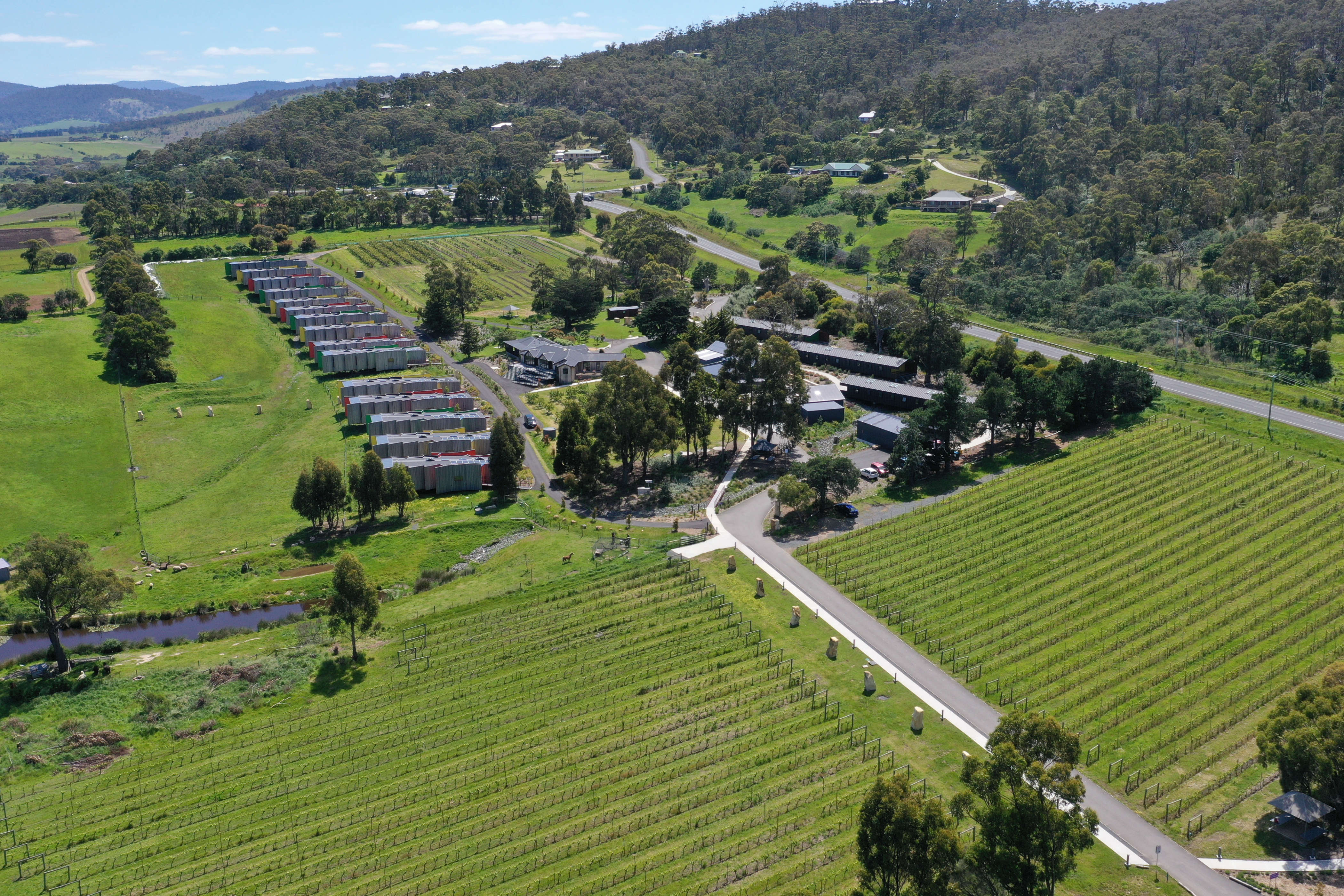 Aerial image showing Iron Creek Bay Estate including the orchards and various buildings. Photo: Iron Creek Bay.