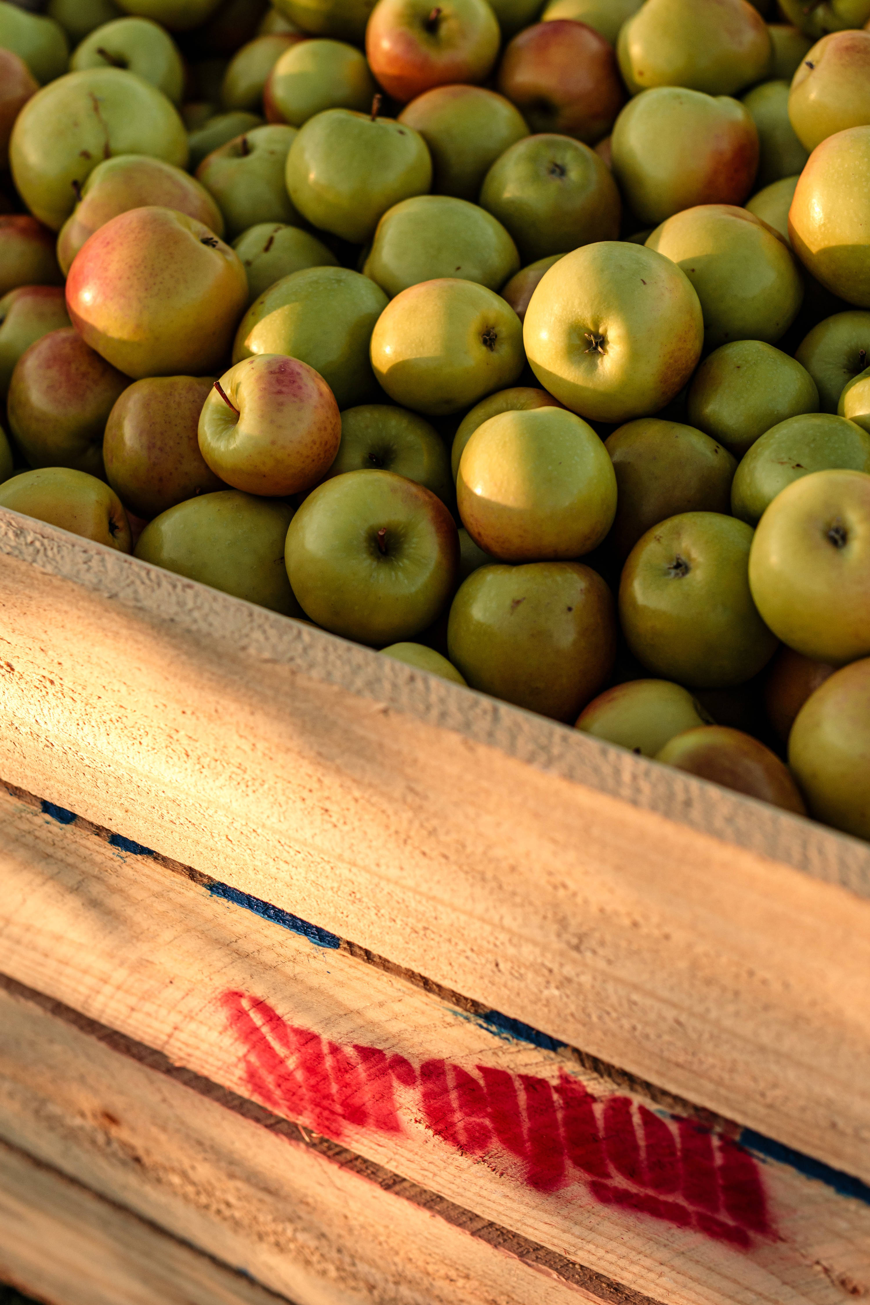 Wooden crate branded ‘Spreyton’ filled with pink and yellow coloured apples. Photo: Spreyton Fresh.