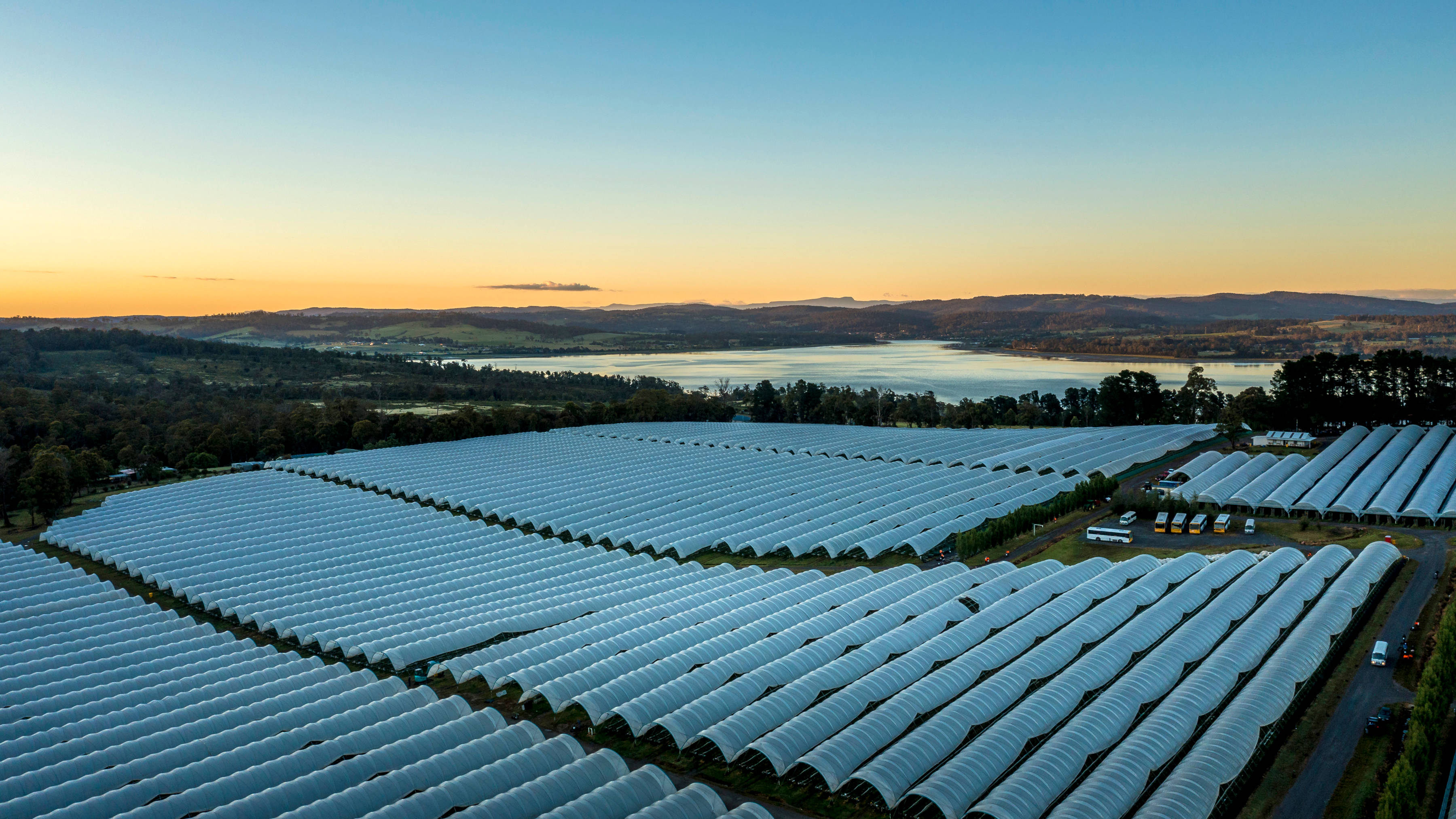 Aerial view of protected cropping structures called polytunnels at Hillwood Berries, near Launceston, Tasmania. Photo: Rob Burnett.