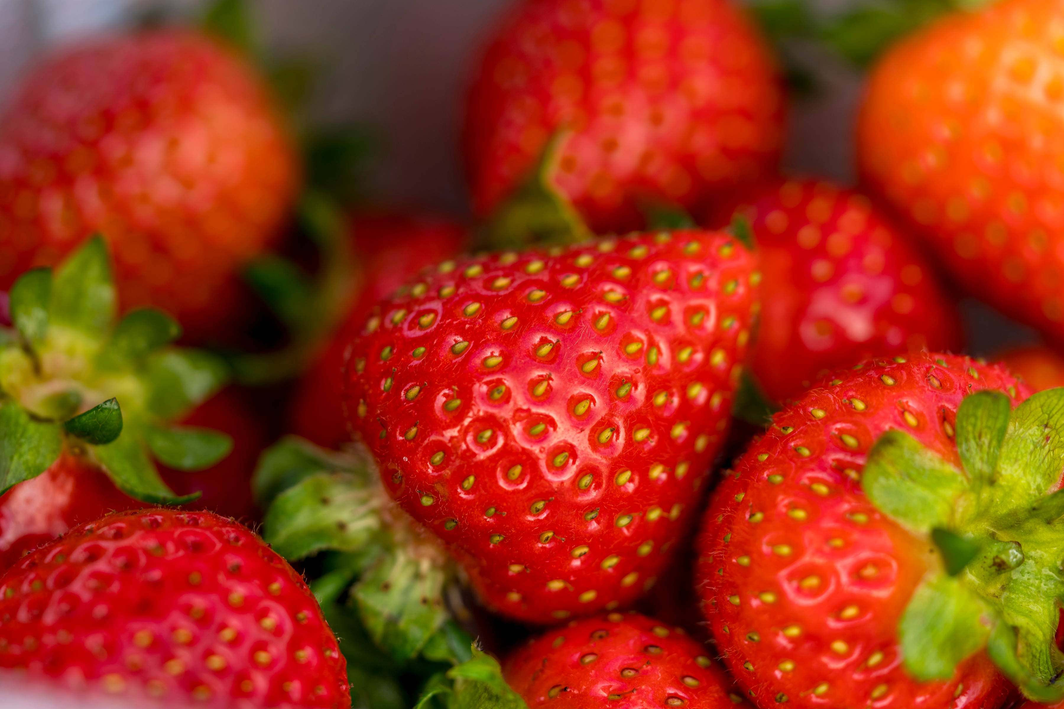 Strawberries by Hillwood Berries, Northern Tasmania. Photo: Rob Burnett.